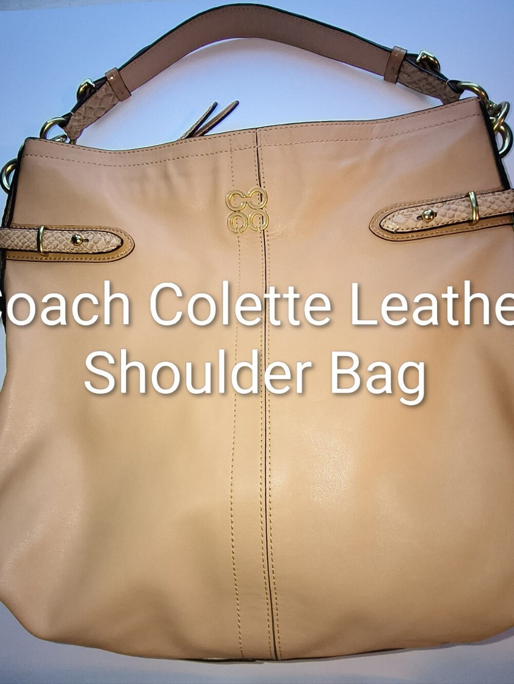 Coach Colette Leather Tan 14" X 14"  Hobo Shoulder Bag No 16413